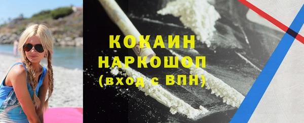 твердый Арсеньев