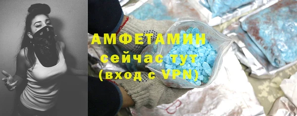 твердый Арсеньев