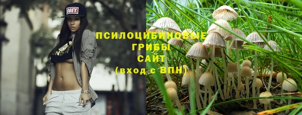 твердый Арсеньев