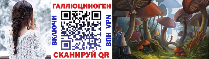 Галлюциногенные грибы мицелий Светогорск